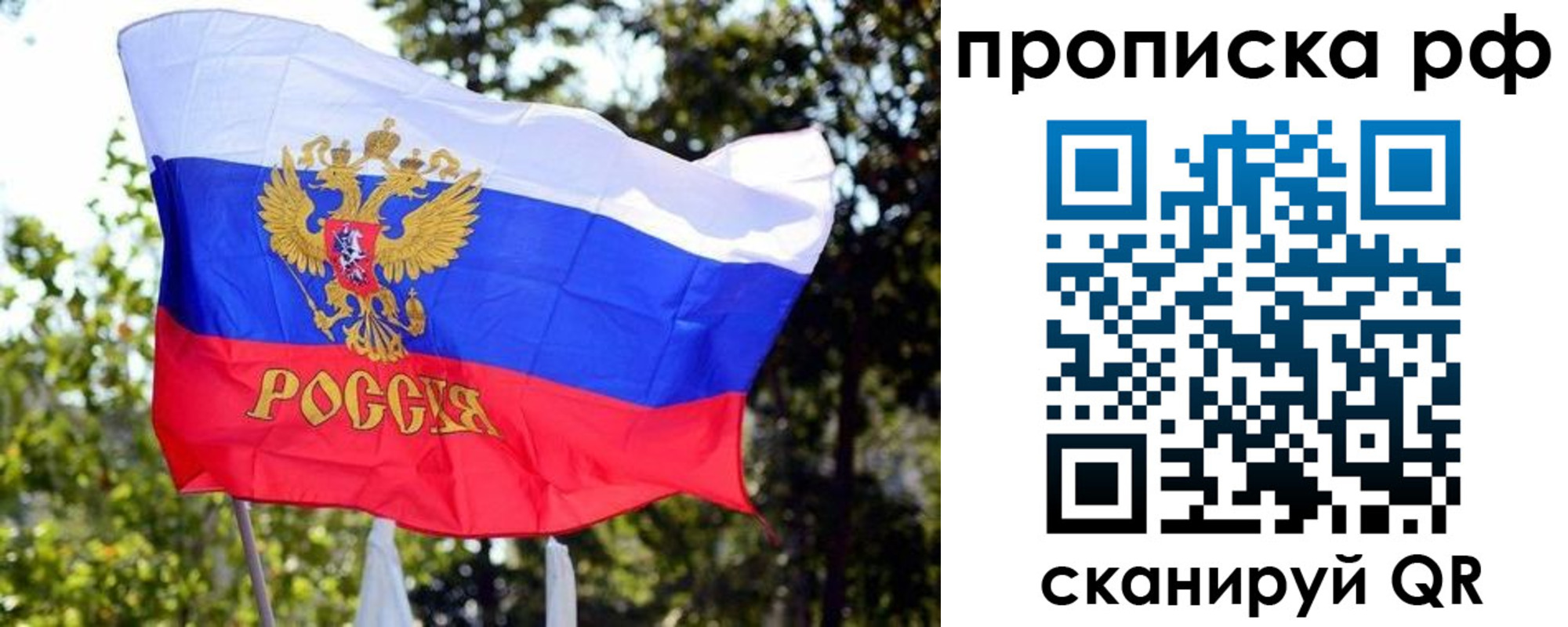 временная регистрация надежно в Новгородской области
